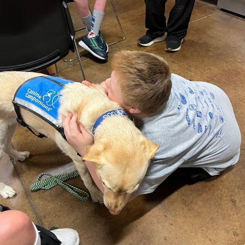 His Heroes Service Dog-Master Provisions